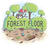 Forest Floor