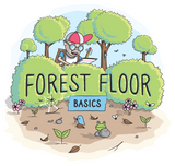 Forest Floor Basics
