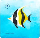Open Ocean