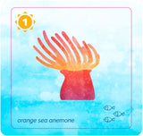 Open Ocean