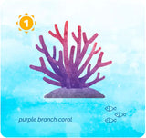 Open Ocean